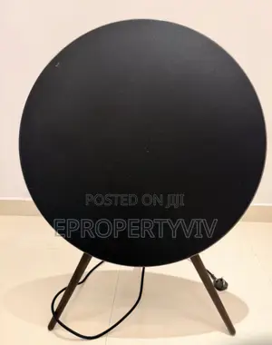 Bang and Olufsen Luxury Speakers