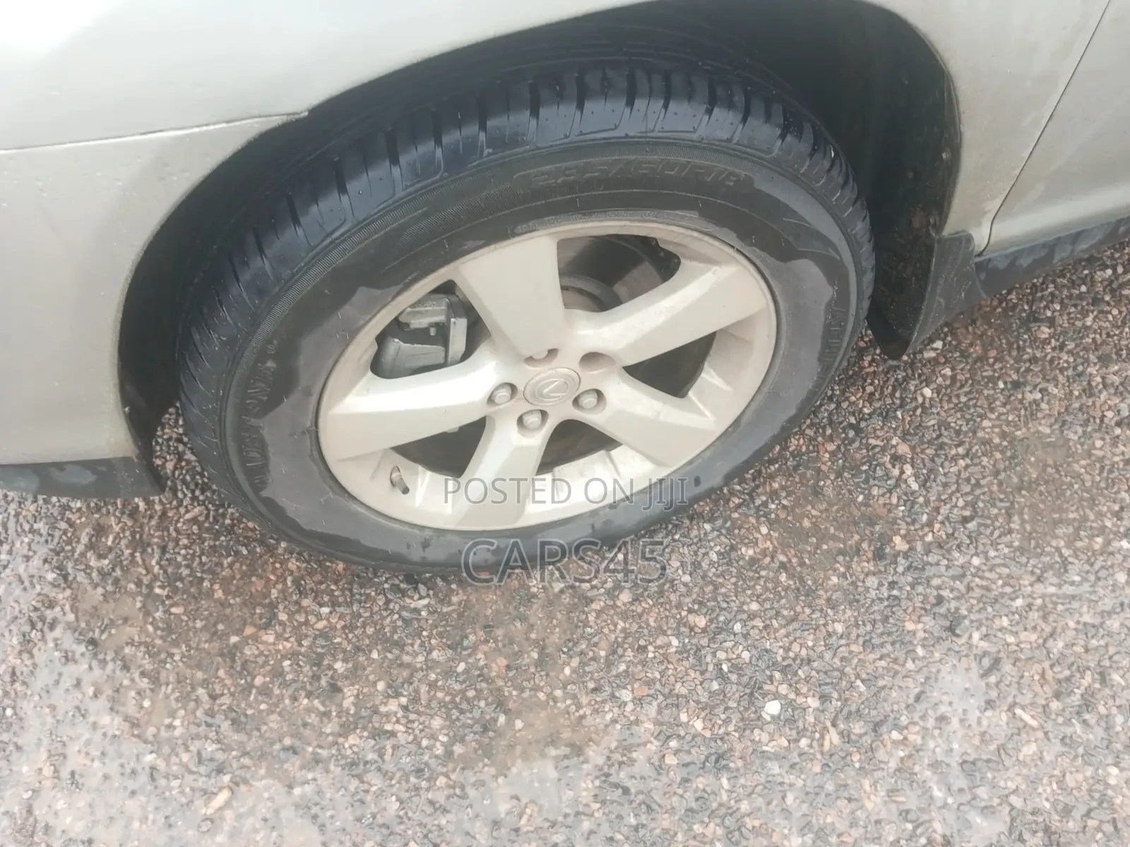 Lexus RX 2007 Gray