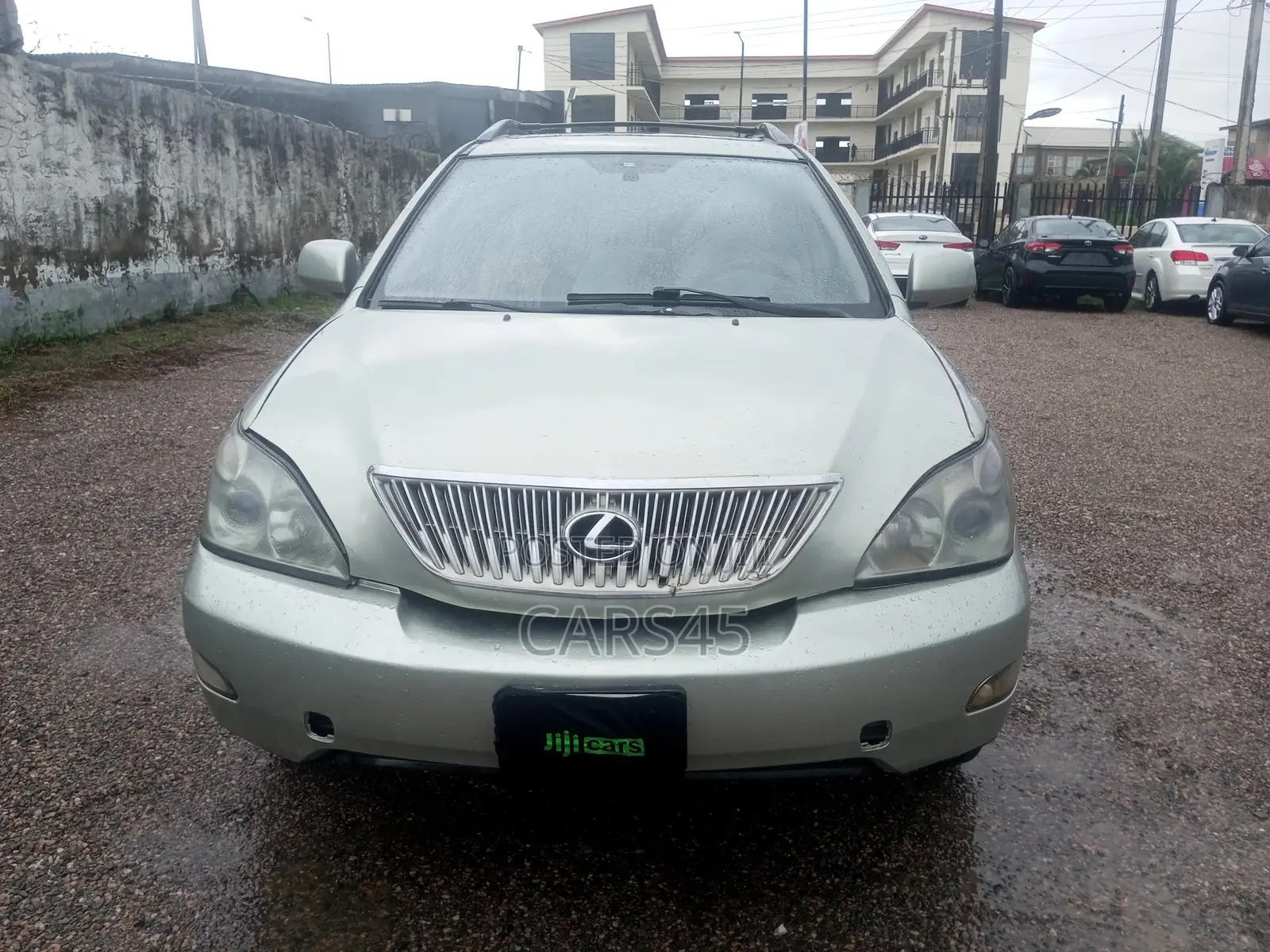 Lexus RX 2007 Gray