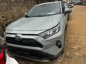 Toyota RAV4 XLE AWD 2019 Blue