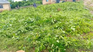 One/1 Plot For Sale At Tapa Villa, Life Forte, Apete. Ibadan