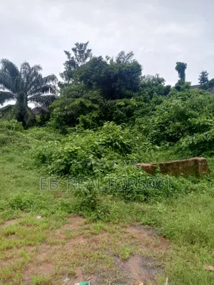 50x200 for Sale Iguadolor