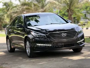 Hyundai Sonata 2014 Brown