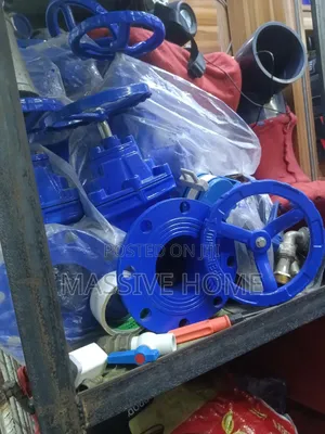(4 Inches) Frange Gate Valve Industrial Grade
