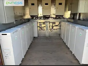 14.3kwh Dyness Lithium Battery