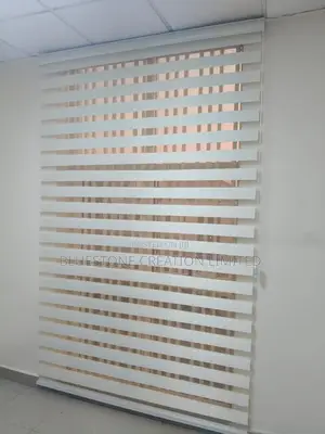 Window Blinds (Zebra Blind)