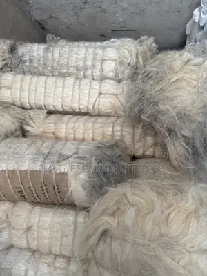 Tanzania and Kenya Fillers