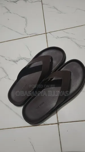 Zara Original Palm