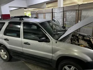 Ford Escape 2004 Silver