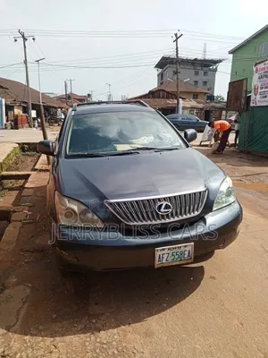 Lexus RX 2006 Gray