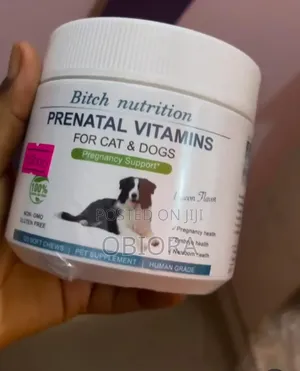 Prenatal Supplement/Tablet