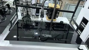 Inverter Induction Burner