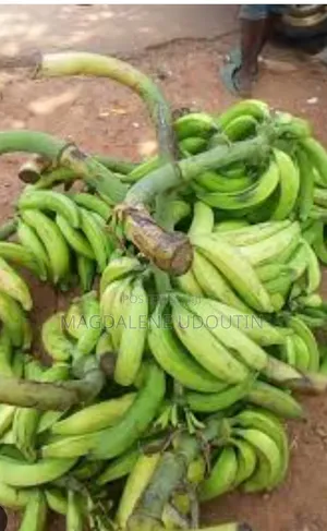 Fresh Potatoes, Onions, Coconut, Plantains Bananas. Wholesale/Retail
