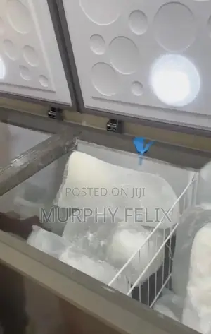Mp Ice Block and Frozen Foods