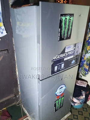 Hair Thermocool Fridge