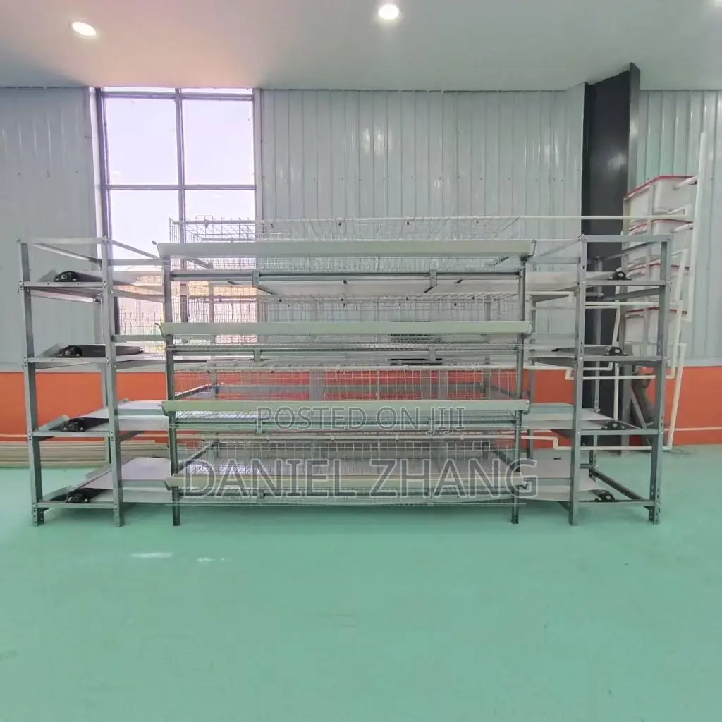 H Type Layer Cages With Manure Belt Remover
