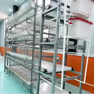H Type Layer Cages With Manure Belt Remover