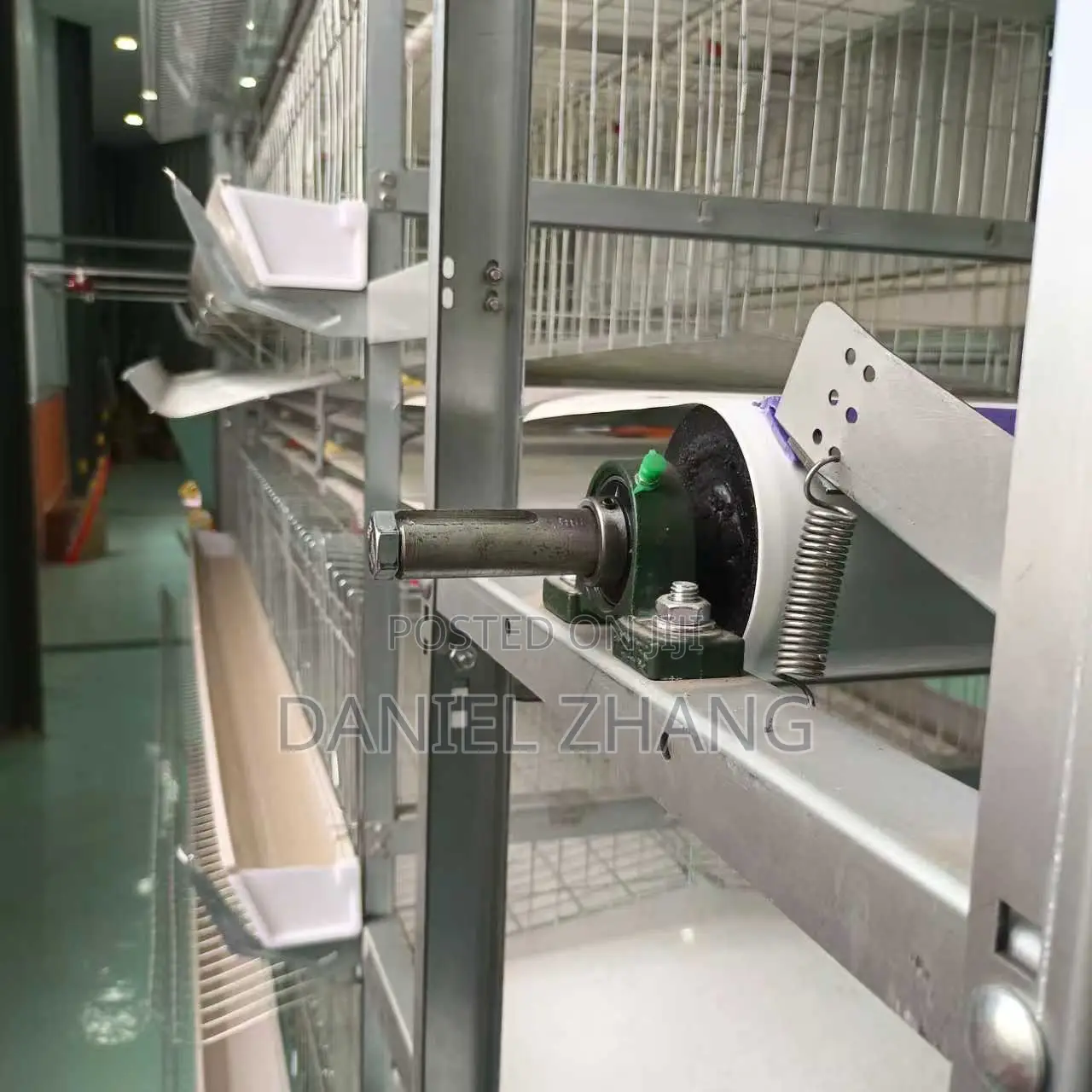 H Type Layer Cages With Manure Belt Remover