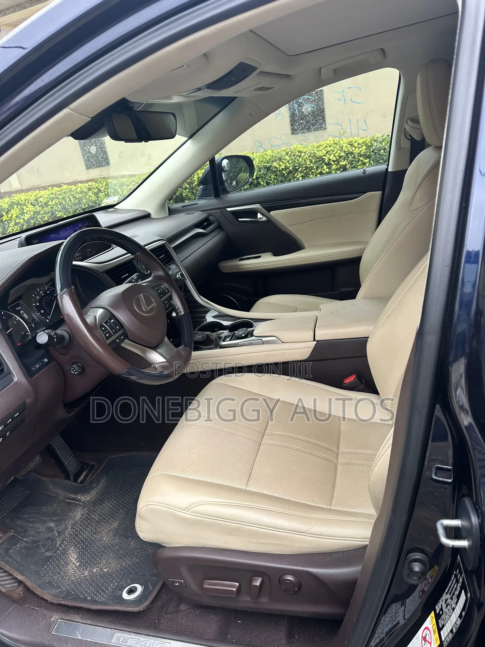 Lexus RX 2019 Blue
