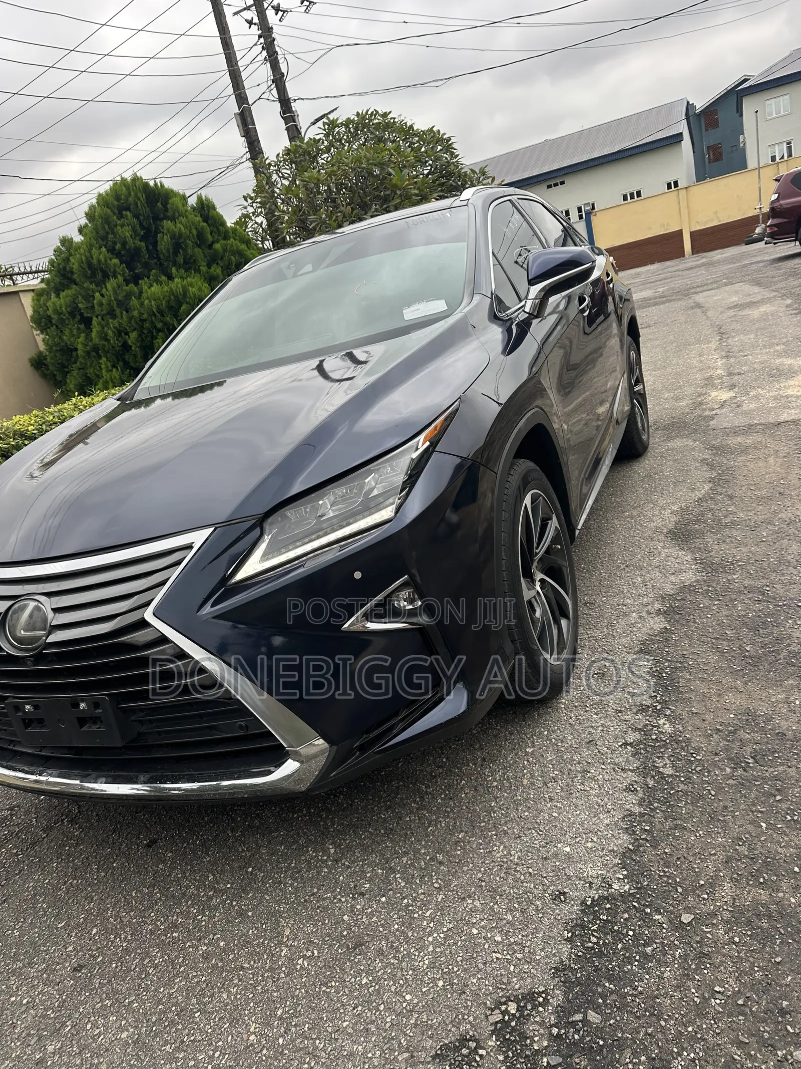 Lexus RX 2019 Blue