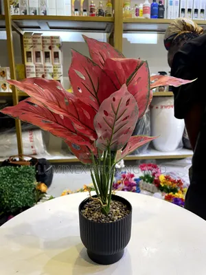Table Flowers