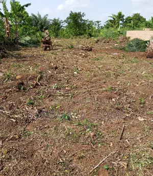 100x100 Available for Sale at Nigercat