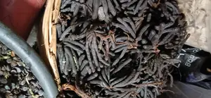 Uda (Negro Pepper)