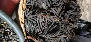 Uda (Negro Pepper)