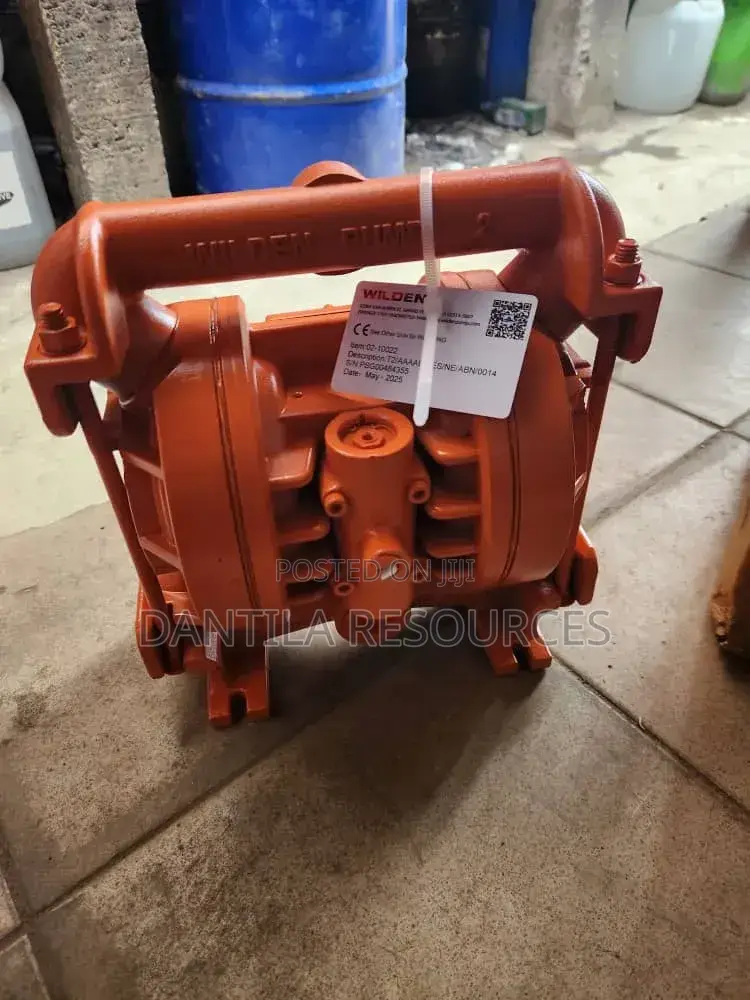 Diaphragm Wilden Pump