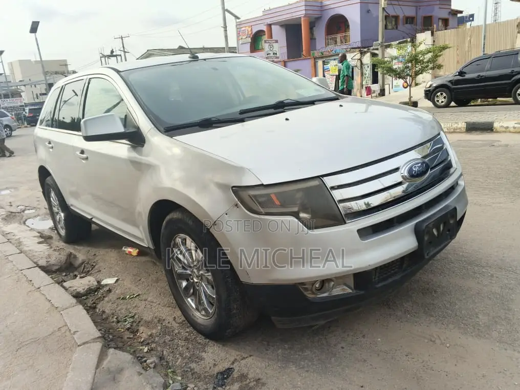 Ford Edge 2009 Silver