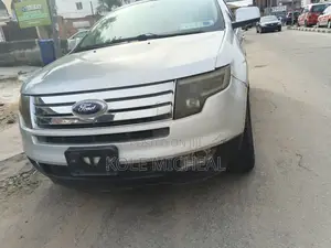 Ford Edge 2009 Silver