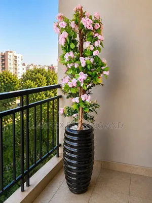 Topiary Rose Plant