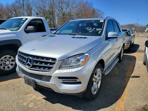 Mercedes-Benz M Class 2014 Silver