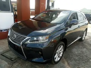 Lexus RX 2010 Gray