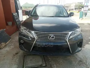 Lexus RX 2010 Gray