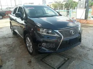 Lexus RX 2010 Gray