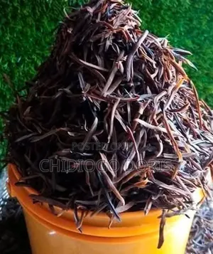 Freshly Dried Shrimp