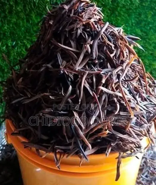 Freshly Dried Shrimp