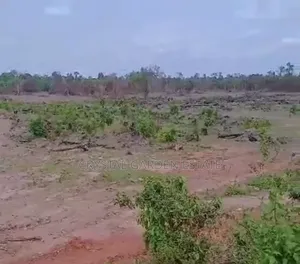 50x100sq- Meter:Land for Sale at Asaba