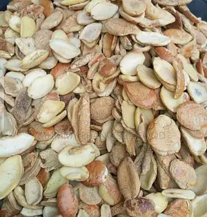 Ogbono Seed