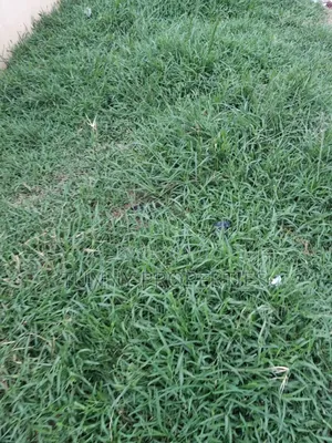 Plots, Acres and Hectares of Land for Sale