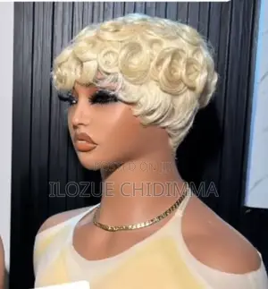 Human Hair Wigs