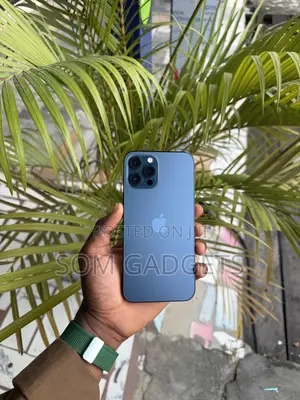 Apple iPhone 12 Pro Max 256 GB Blue