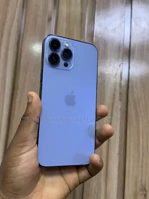 Apple iPhone 13 Pro Max 256 GB Gray