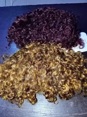 Afro Short Curly Wig - Human Hair