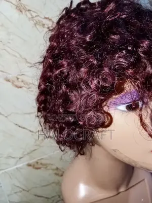 Afro Short Curly Wig - Human Hair