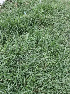 Plots, Acres and Hectares of Land for Sale