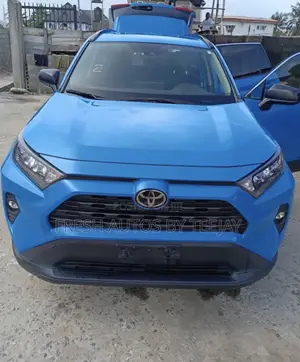 Toyota RAV4 LE AWD 2019 Blue