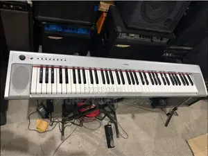 Yamaha Np30