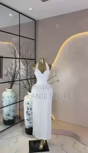 Ladies Fashion Dress